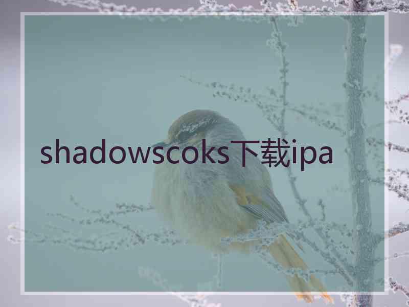 shadowscoks下载ipa