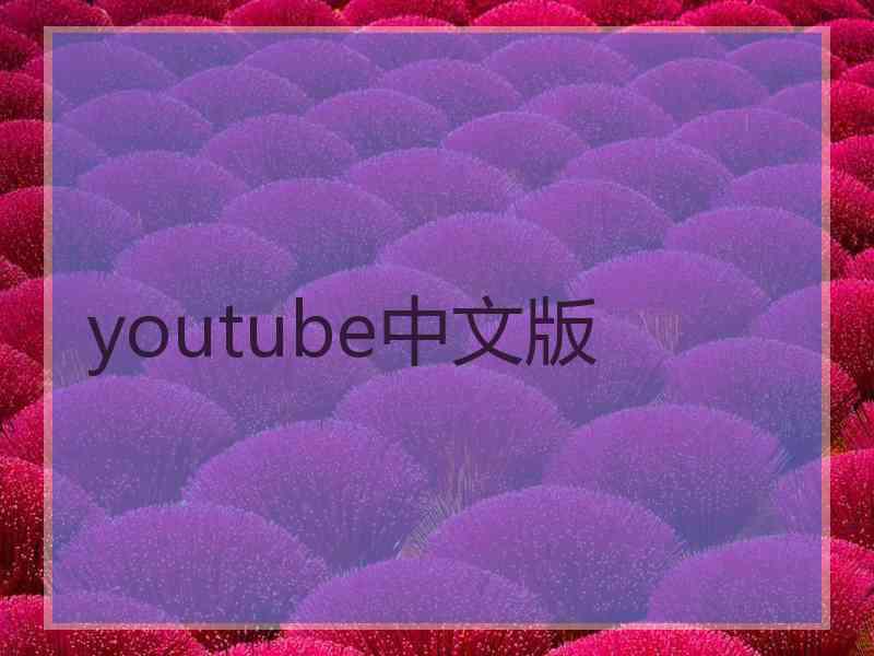 youtube中文版