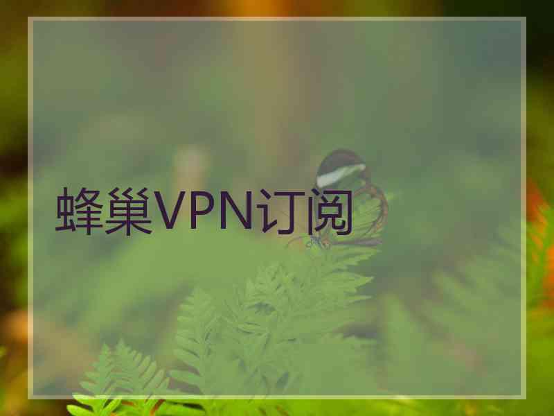 蜂巢VPN订阅