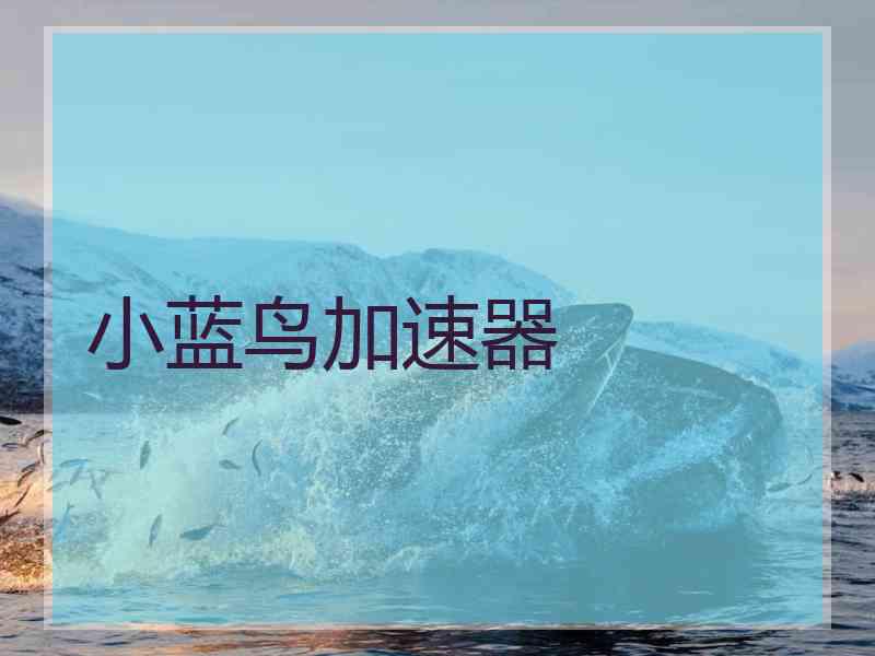 小蓝鸟加速器