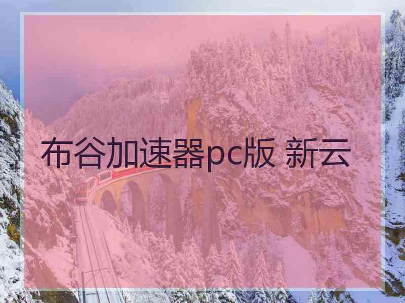 布谷加速器pc版 新云