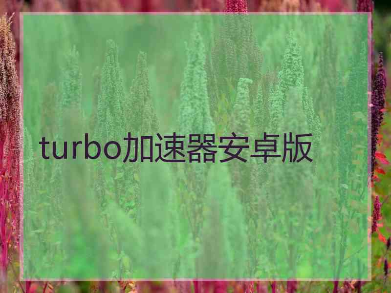 turbo加速器安卓版