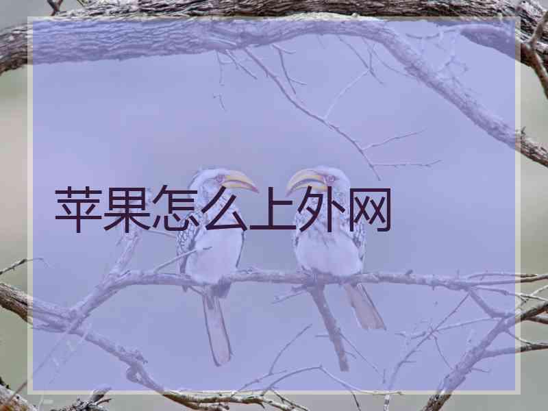 苹果怎么上外网