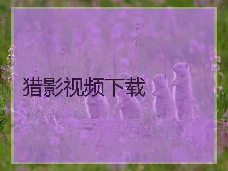 猎影视频下载