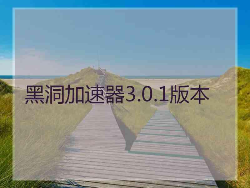 黑洞加速器3.0.1版本