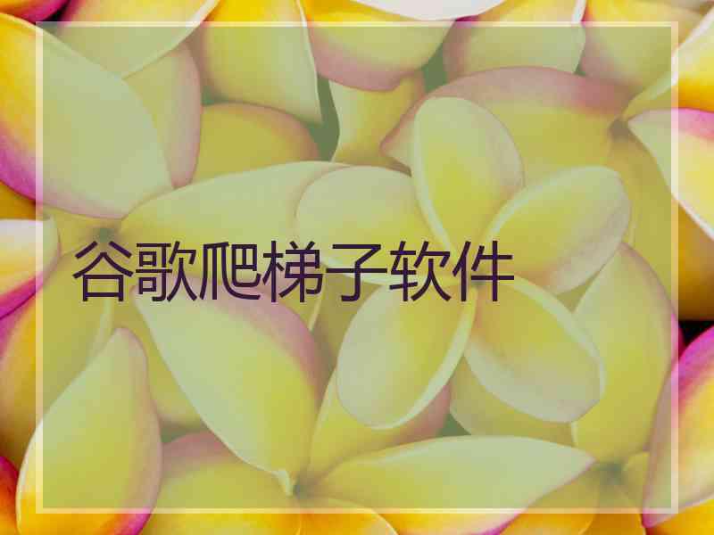 谷歌爬梯子软件