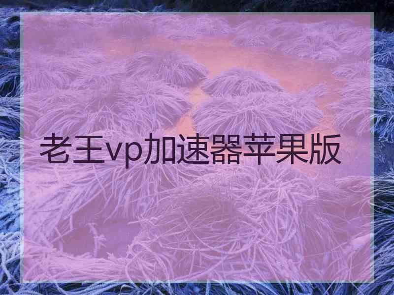 老王vp加速器苹果版