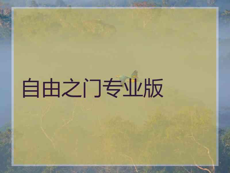 自由之门专业版