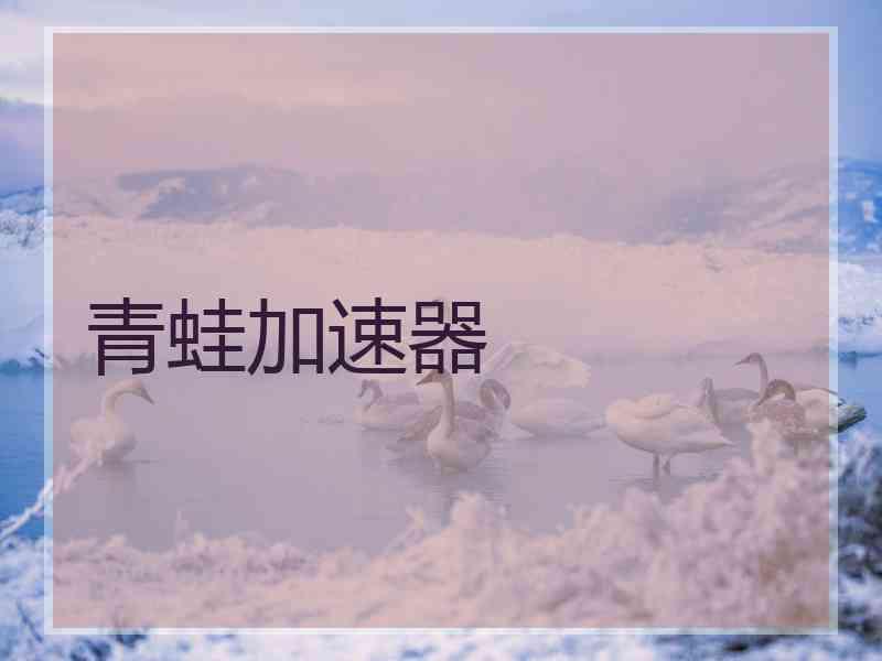 青蛙加速器
