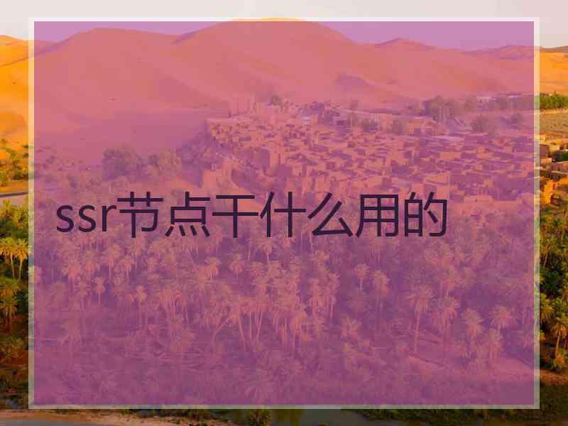 ssr节点干什么用的