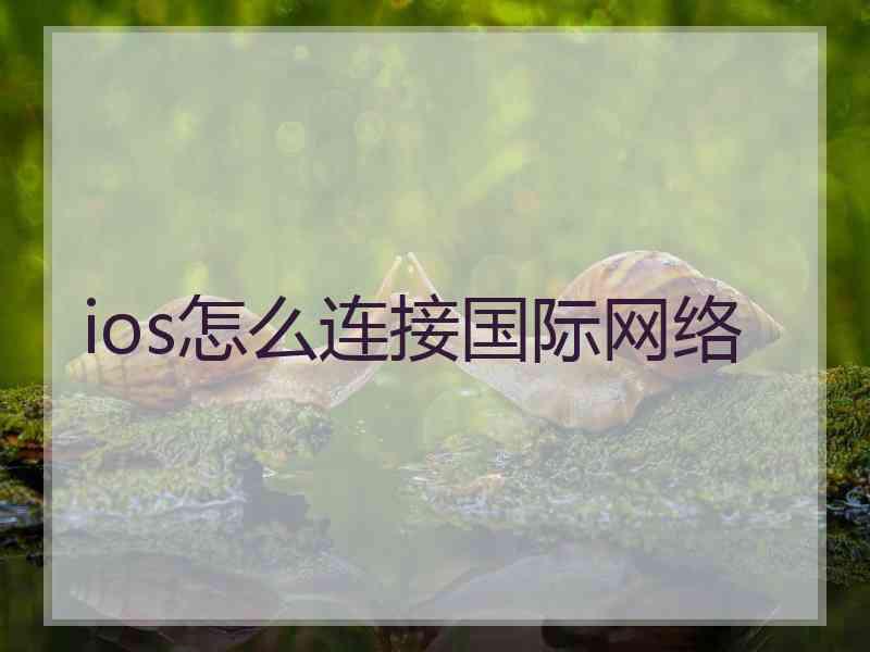ios怎么连接国际网络