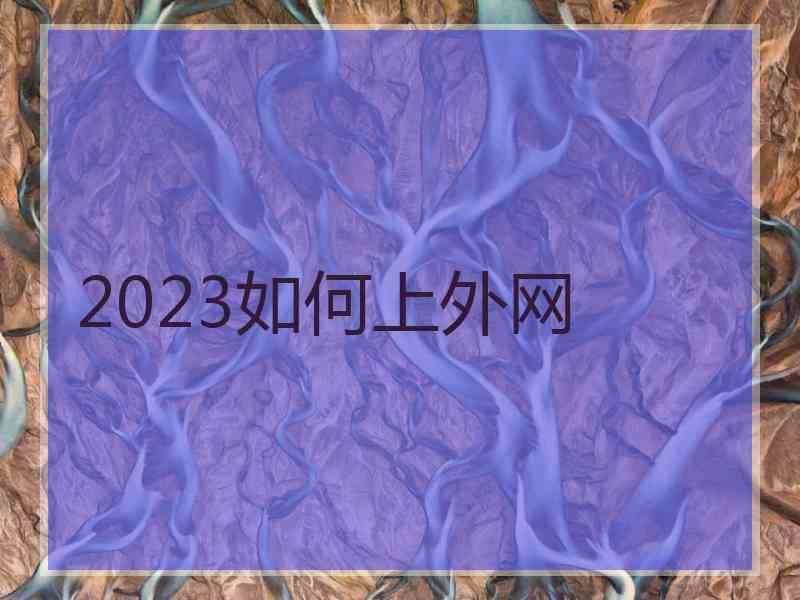 2023如何上外网