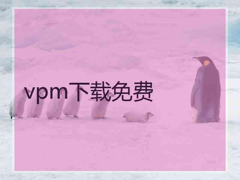 vpm下载免费