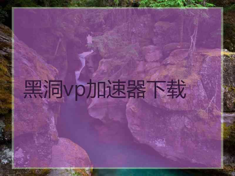 黑洞vp加速器下载