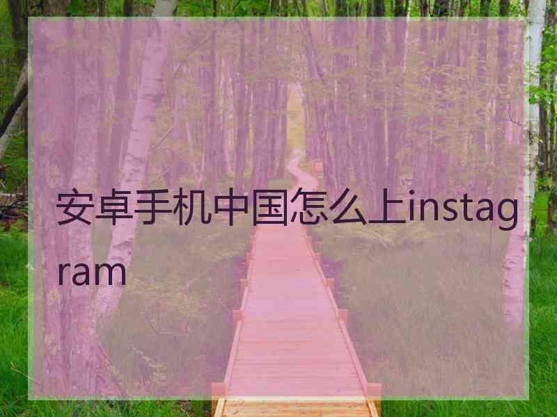 安卓手机中国怎么上instagram