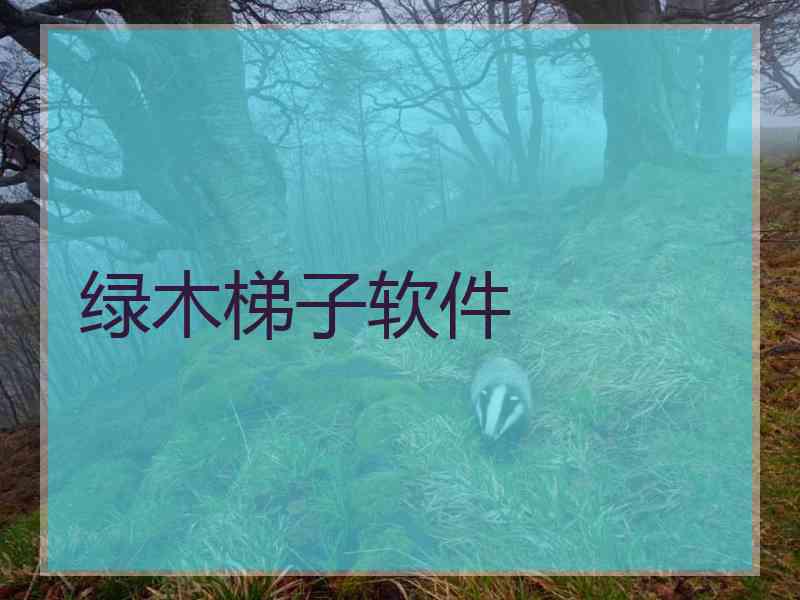 绿木梯子软件