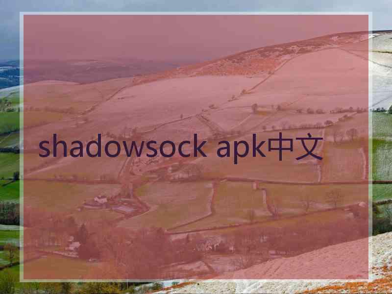 shadowsock apk中文