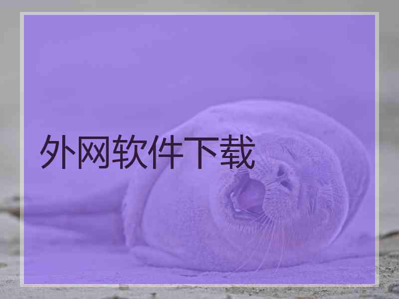 外网软件下载