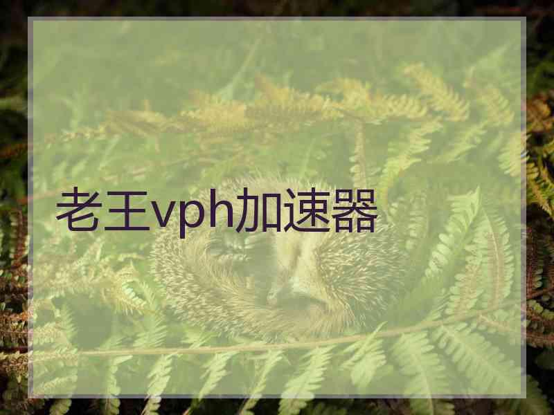 老王vph加速器