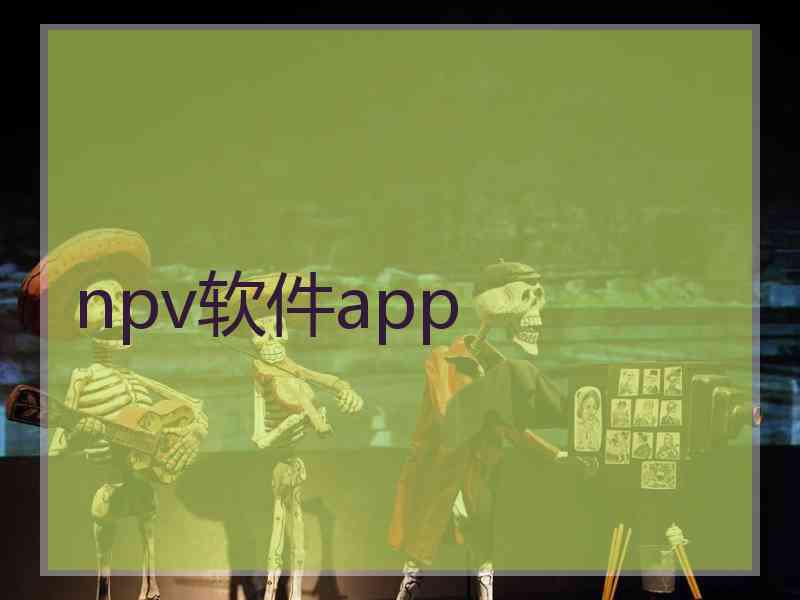 npv软件app