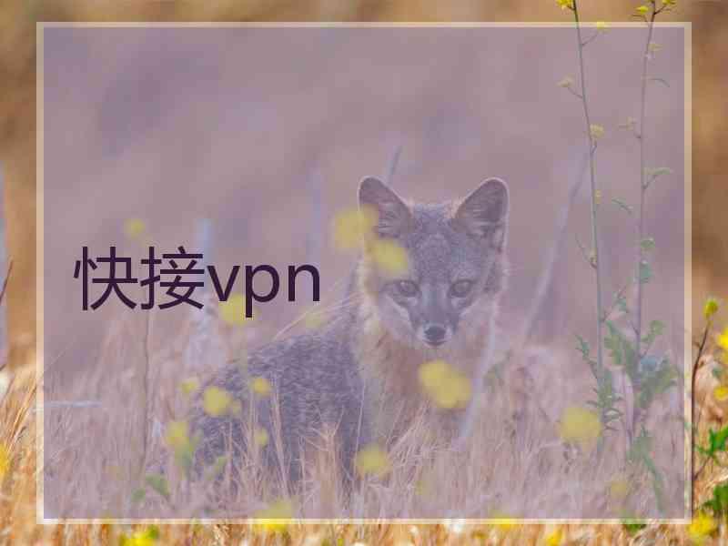 快接vpn