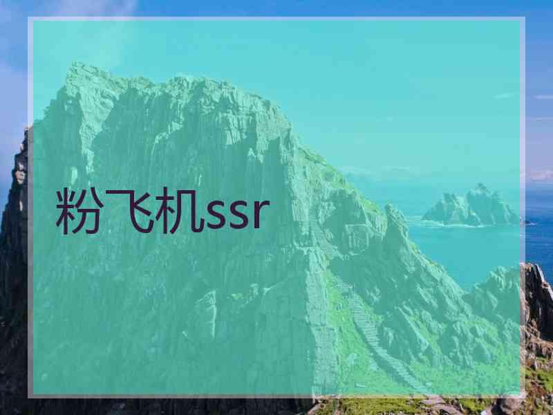 粉飞机ssr