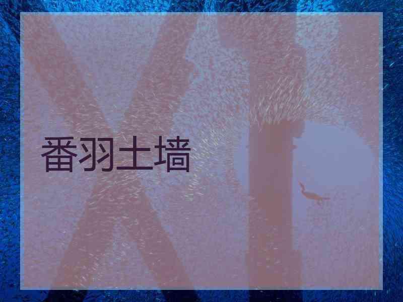 番羽土墙