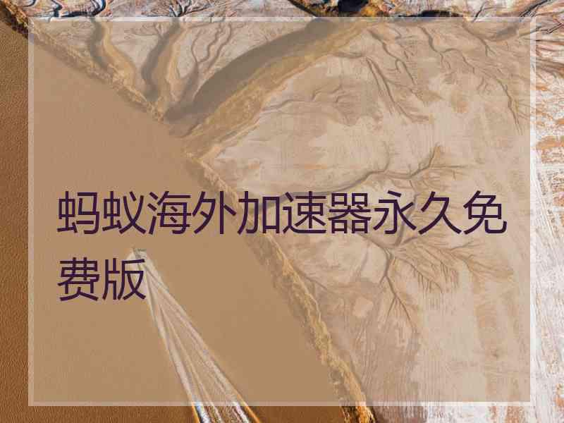 蚂蚁海外加速器永久免费版