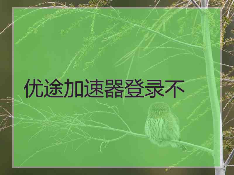 优途加速器登录不