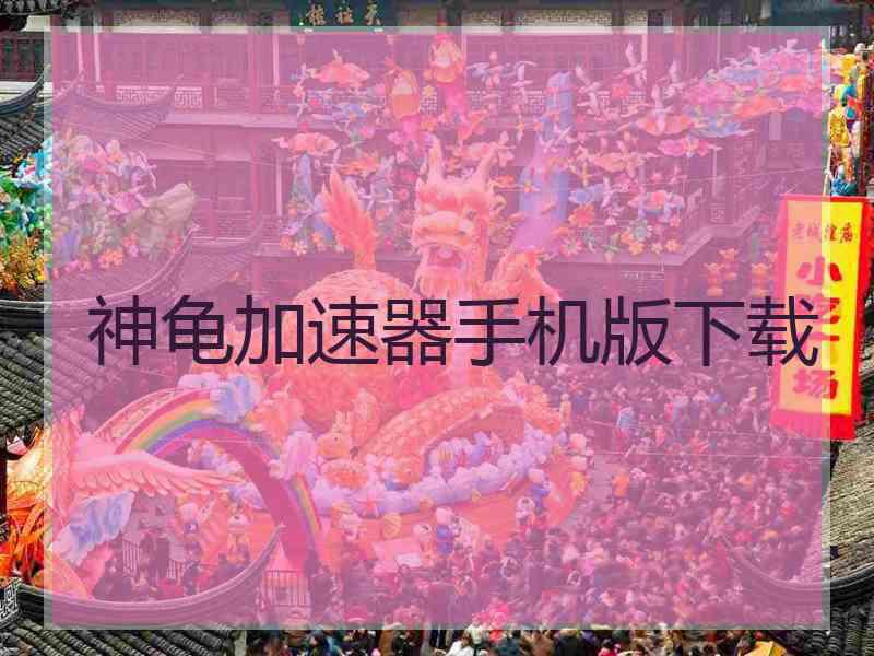 神龟加速器手机版下载