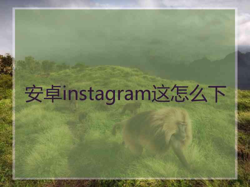 安卓instagram这怎么下