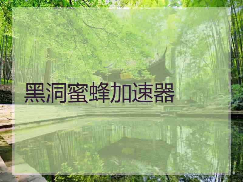 黑洞蜜蜂加速器