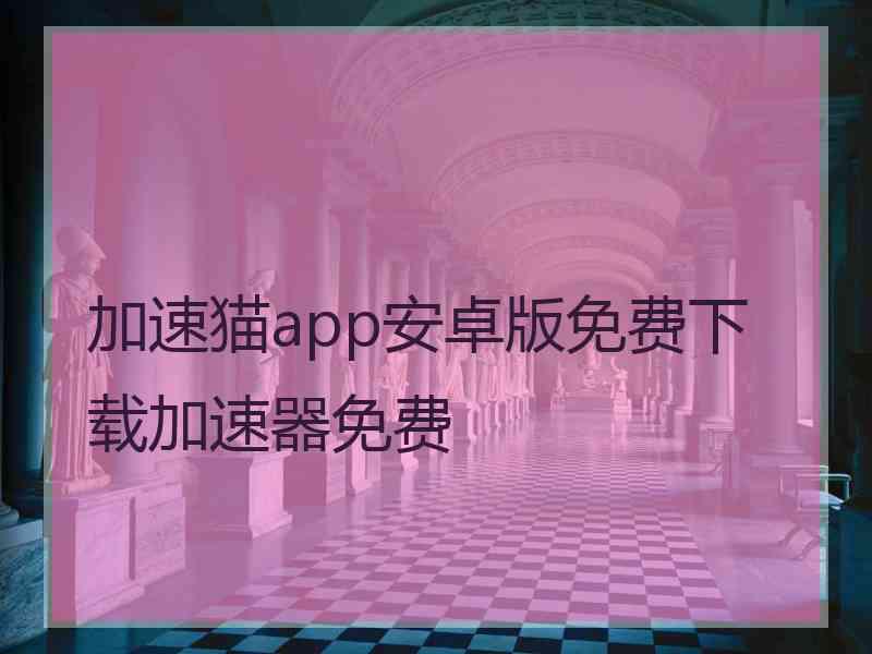 加速猫app安卓版免费下载加速器免费