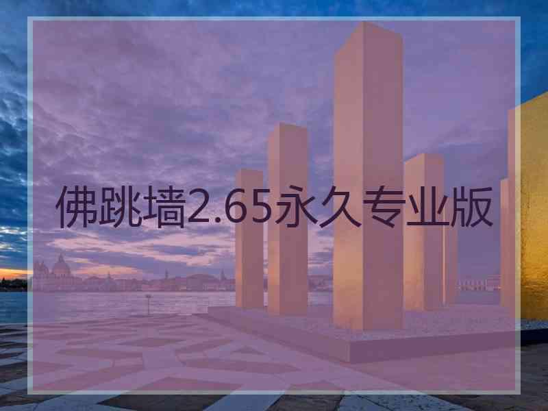 佛跳墙2.65永久专业版