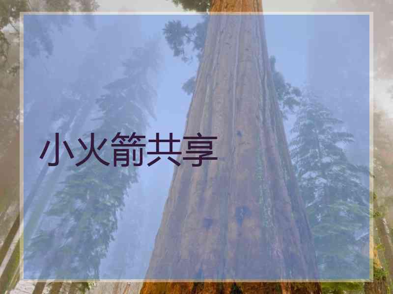 小火箭共享