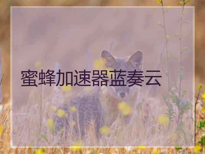 蜜蜂加速器蓝奏云