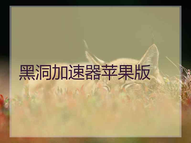 黑洞加速器苹果版