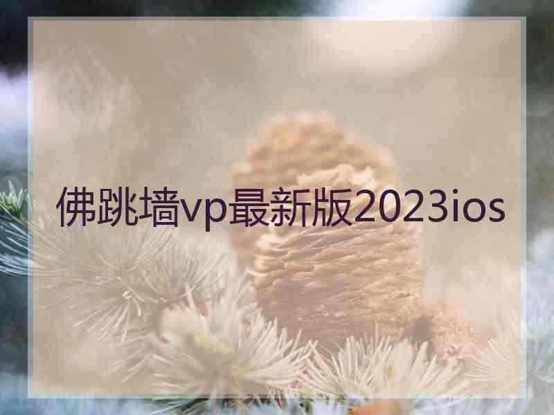 佛跳墙vp最新版2023ios