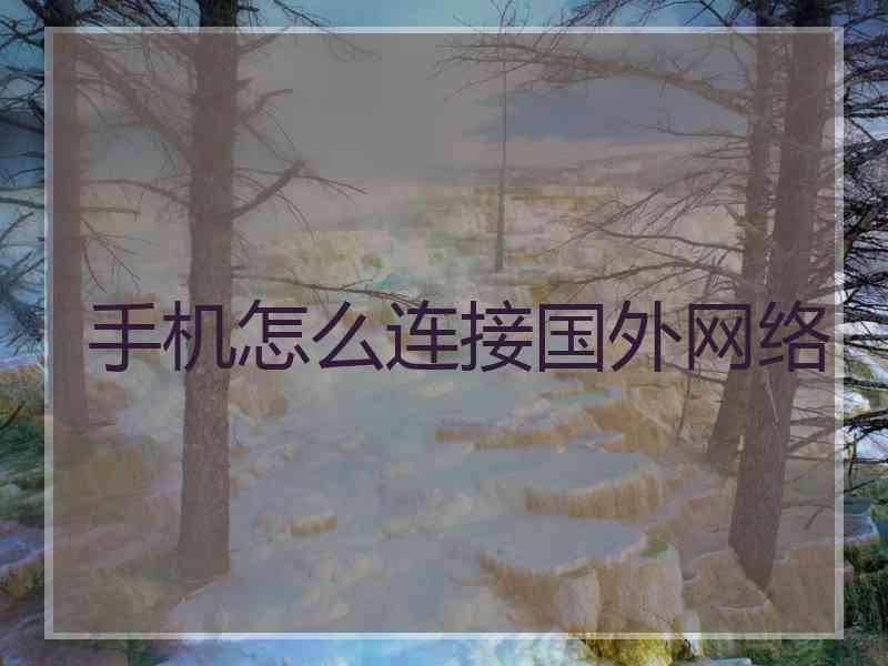 手机怎么连接国外网络