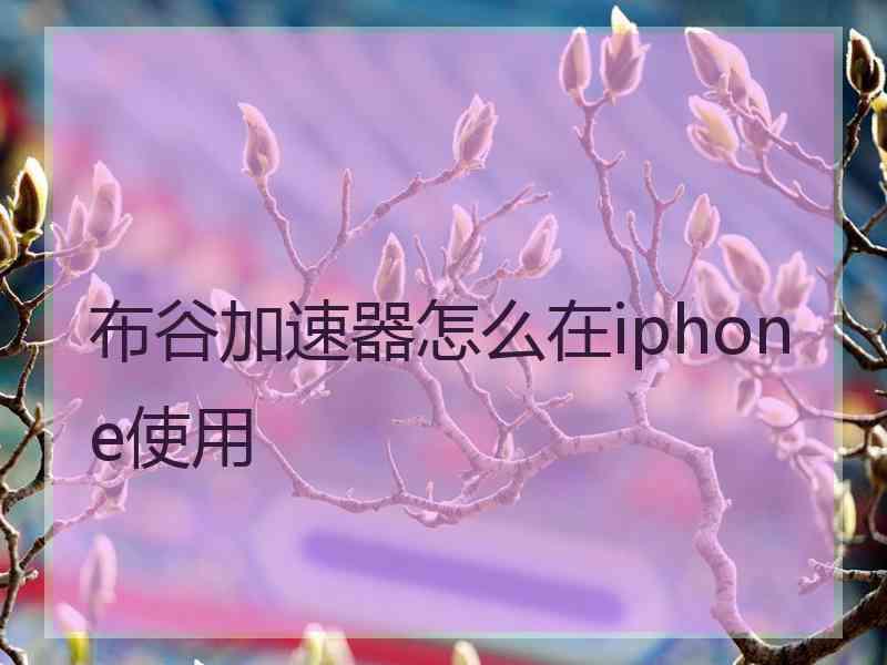 布谷加速器怎么在iphone使用