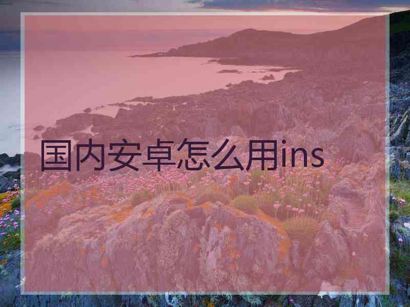 国内安卓怎么用ins