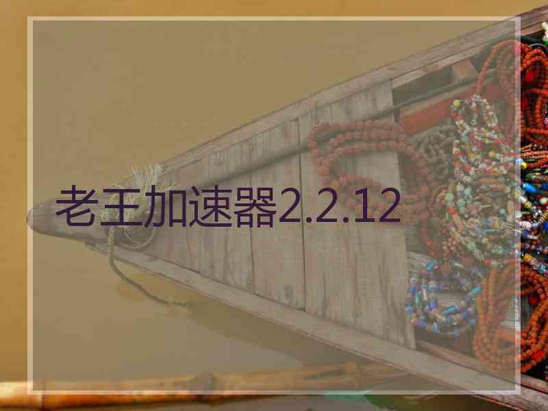 老王加速器2.2.12