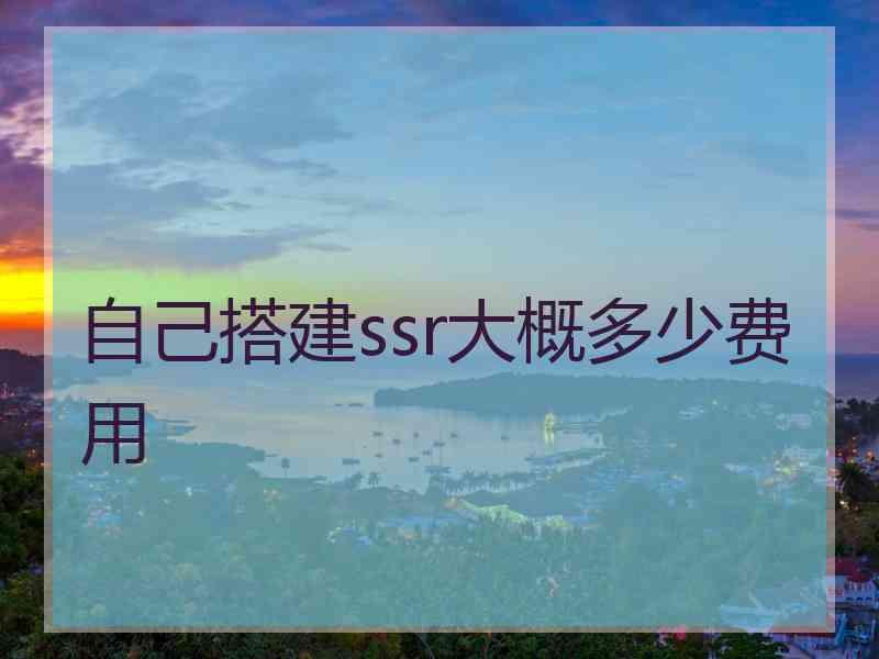自己搭建ssr大概多少费用