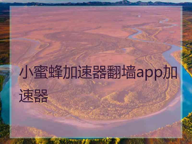 小蜜蜂加速器翻墙app加速器