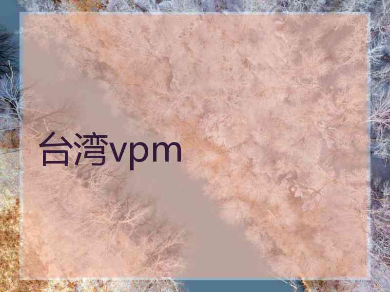 台湾vpm