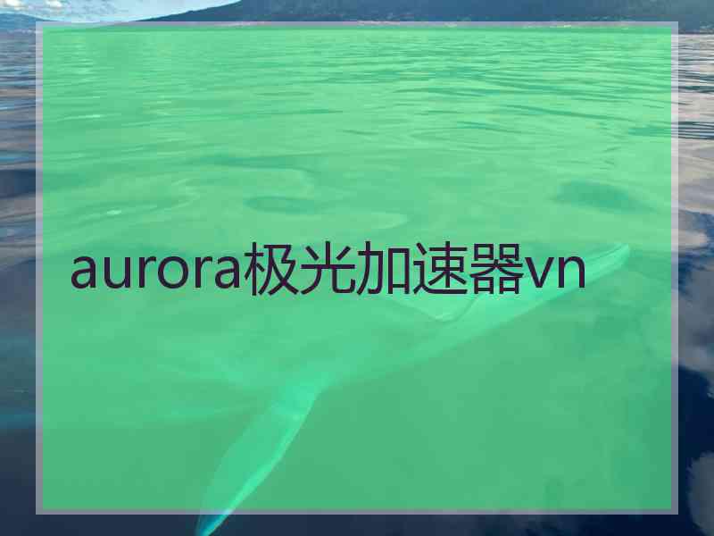aurora极光加速器vn