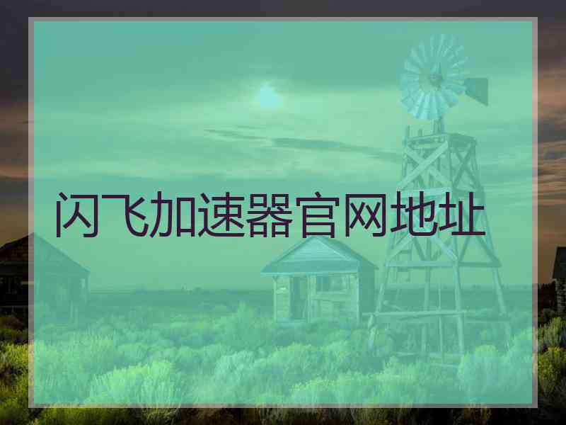 闪飞加速器官网地址
