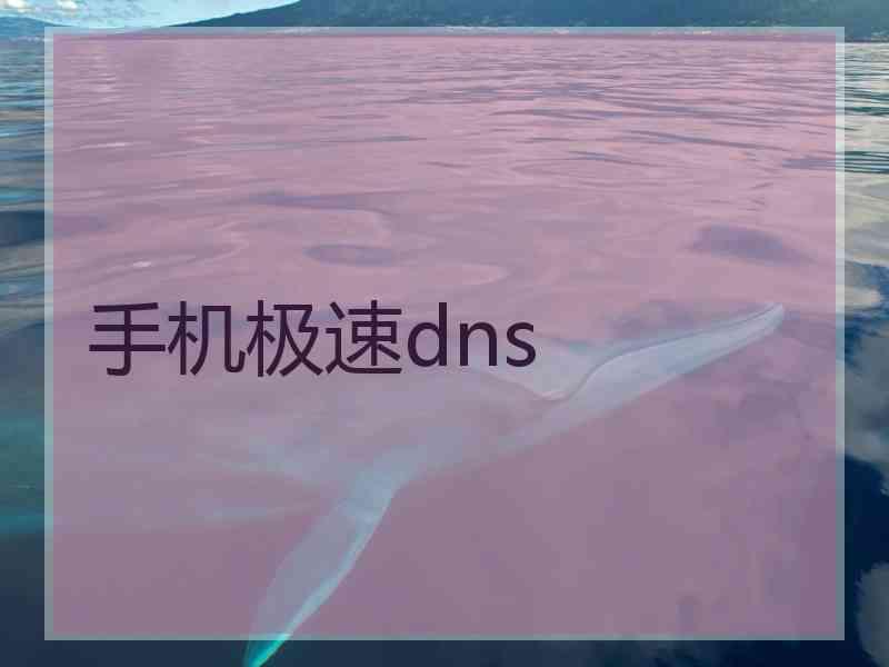 手机极速dns
