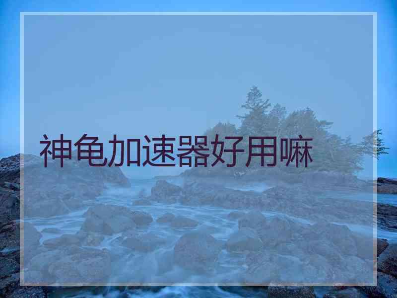 神龟加速器好用嘛