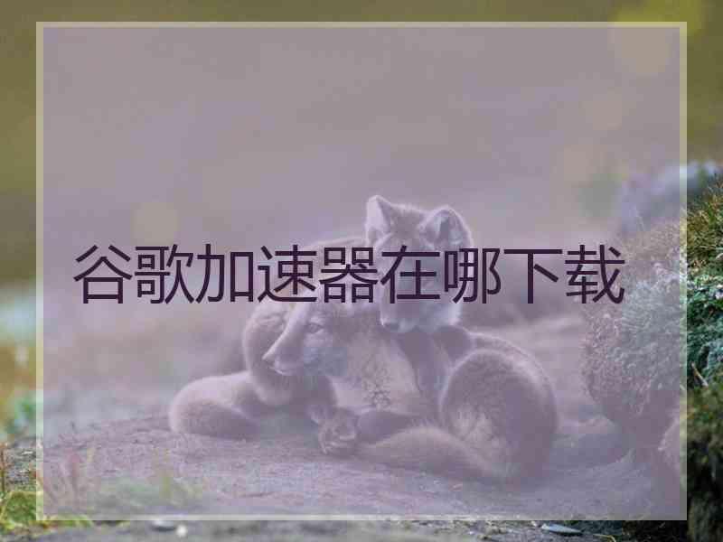 谷歌加速器在哪下载